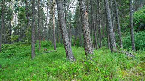 Nhn Black Point Road, Polson, MT 59860