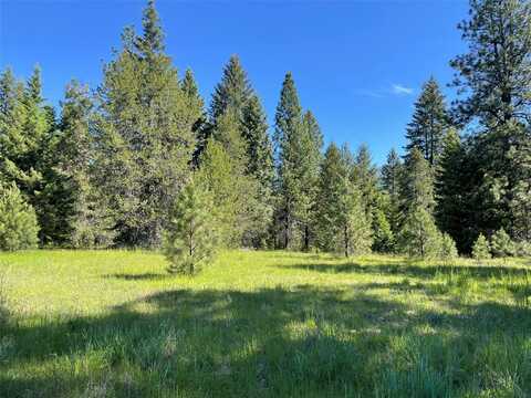NHN S Shore Drive, Trout Creek, MT 59874