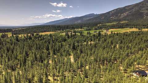 Nhn Holloway Lane, Florence, MT 59833