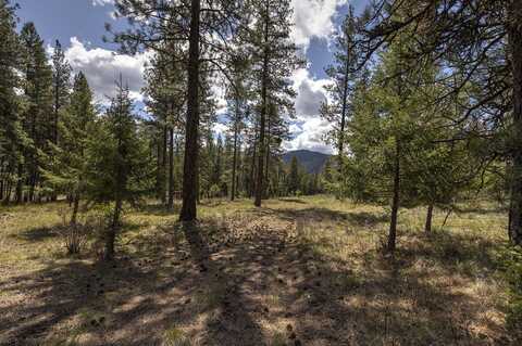 Nhn Mountain Vista Lane, Alberton, MT 59820