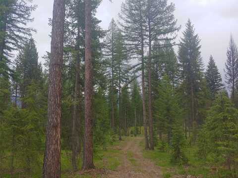 Nhn Off-Styler Drive, Condon, MT 59826