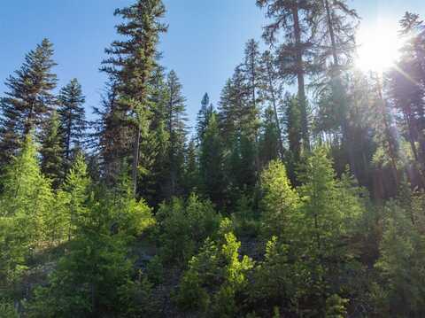 Tbd Skyline Ridge Ranch Road, Whitefish, MT 59937