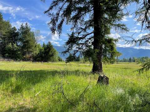 Nhn Whitepine Creek Road, Trout Creek, MT 59874