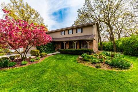 8229 Nueport Drive, Willow Springs, IL 60480