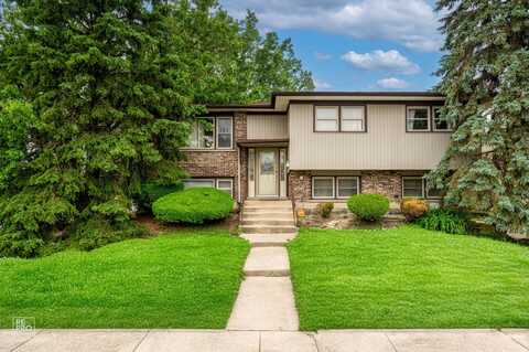19805 Monterey Avenue, Lynwood, IL 60411
