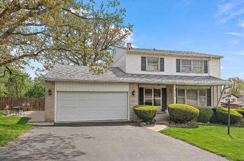 9130 Chestnut Drive, Hickory Hills, IL 60457