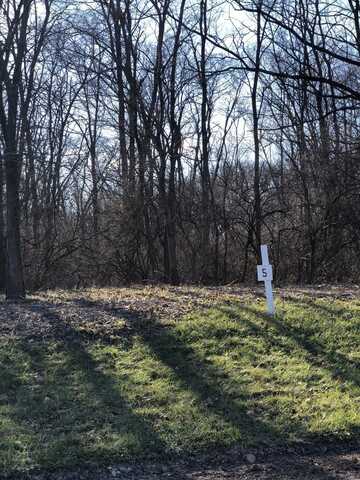 Lot 5 Oak Meadow Ct. Court, Homer Glen, IL 60491