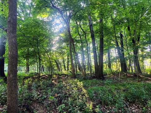 Lot 742 Brookside Drive, Varna, IL 61375