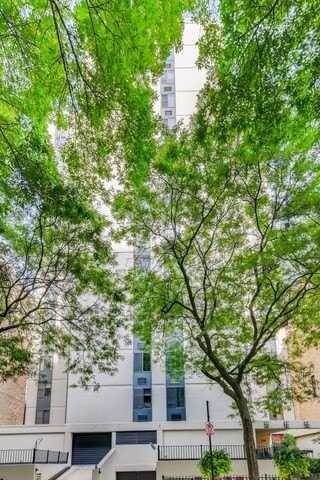 1339 N Dearborn Street, Chicago, IL 60610