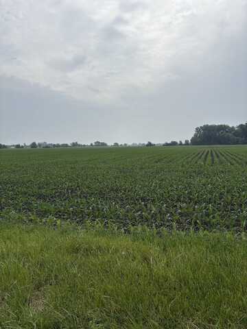 0 Warner Bridge Road, Wilmington, IL 60481