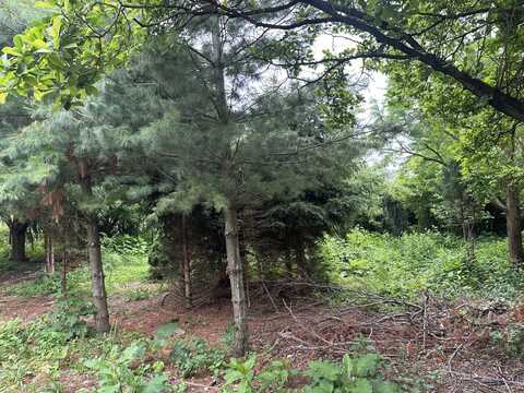 Lot 21 Country Club Drive, Kankakee, IL 60901