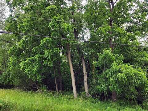 Lot 1573 Lake Wildwood Drive, Varna, IL 61375