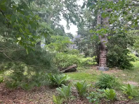 Lot 3 Western Avenue, Clarendon Hills, IL 60514