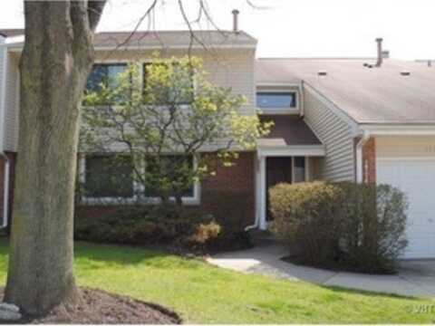 143 W FABISH Drive, Buffalo Grove, IL 60089