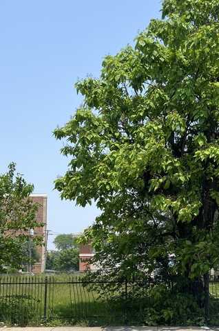 3334 W Warren Boulevard, Chicago, IL 60624