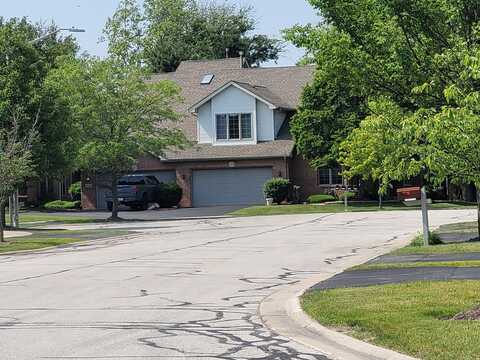 18324 Pond View Court, Tinley Park, IL 60477