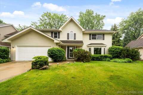 2556 Leach Drive, Naperville, IL 60564
