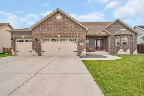 1200 Farmstone Drive, Diamond, IL 60416
