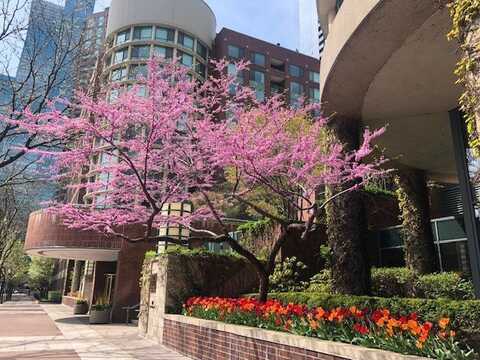 480 N McClurg Court, Chicago, IL 60611