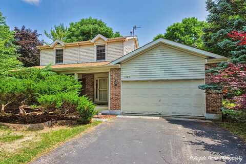 1003 White Pine Drive, Antioch, IL 60002