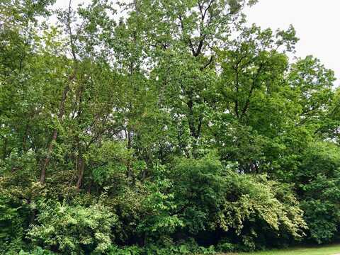 910 Echo (Lot 6) Trail, Marengo, IL 60152