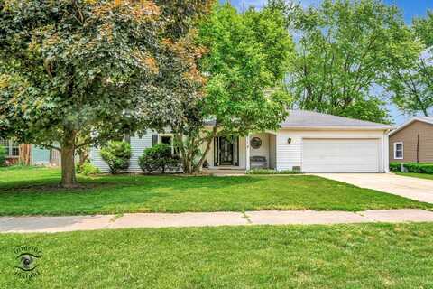 817 Mae Street, Wilmington, IL 60481