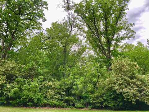 911 Echo (Lot 5) Trail, Marengo, IL 60152
