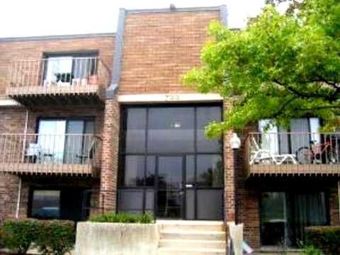 733 LIMERICK Lane, Schaumburg, IL 60193