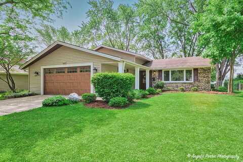 909 Aimtree Place, Schaumburg, IL 60194