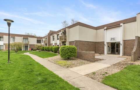 541 73rd Street, Downers Grove, IL 60516