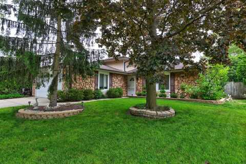833 summerfield Drive, Roselle, IL 60172