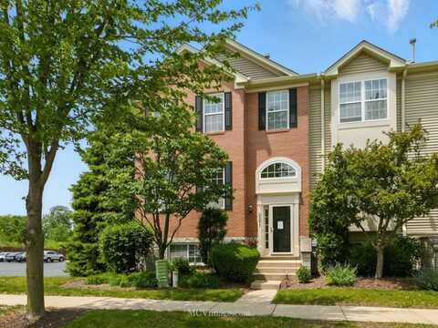 221 Willow Boulevard, Willow Springs, IL 60480