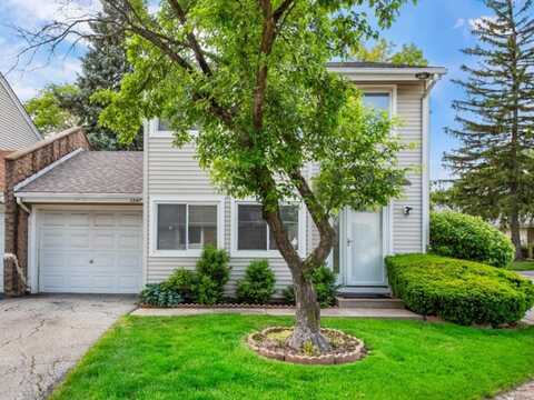 1247 E CANTERBURY Trail, Palatine, IL 60074