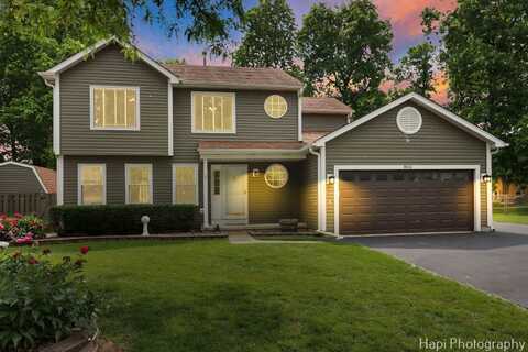 8611 Sycamore Court, Fox Lake, IL 60020