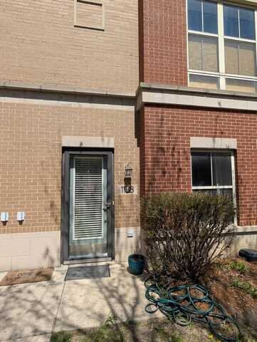 1138 W Washburne Avenue, Chicago, IL 60608