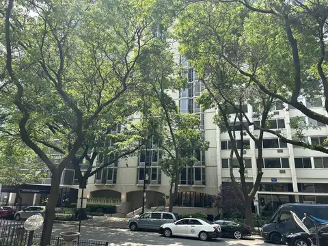 1340 N Dearborn Street, Chicago, IL 60610