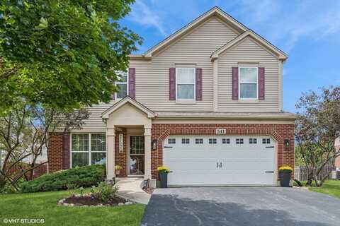 541 Regal Lane, Bolingbrook, IL 60490