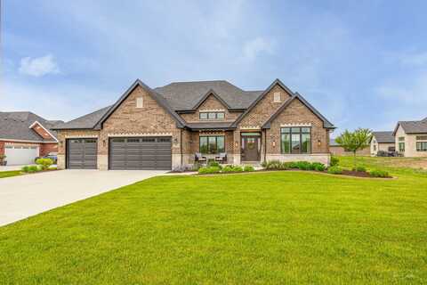 23271 Jackson Branch Court, Frankfort, IL 60423