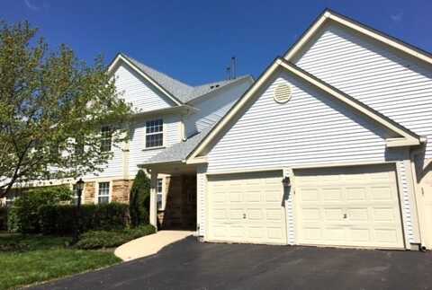45 AMBER Court, Schaumburg, IL 60193