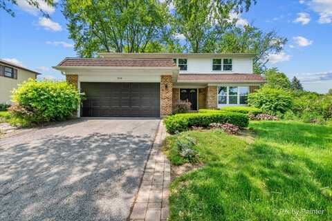 506 S Brighton Lane, Palatine, IL 60067