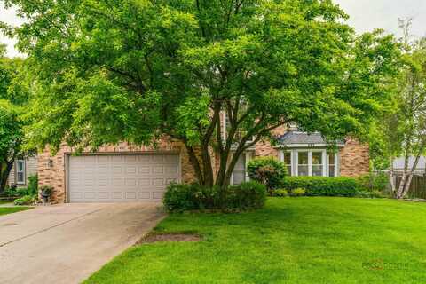 493 Thorndale Drive, Buffalo Grove, IL 60089