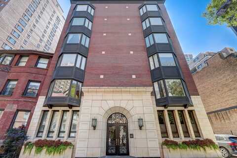 39 E Schiller Street, Chicago, IL 60610