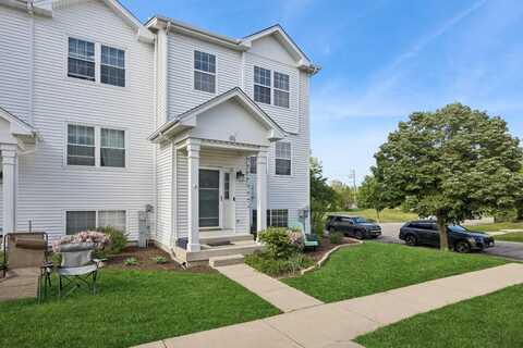596 N Triumph Court, Hainesville, IL 60073