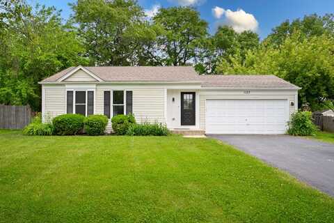 1123 Crimson Court, Naperville, IL 60564