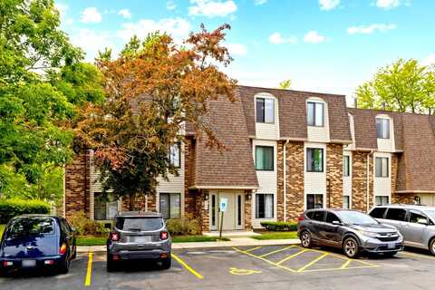 219 W Court of Shorewood, Vernon Hills, IL 60061
