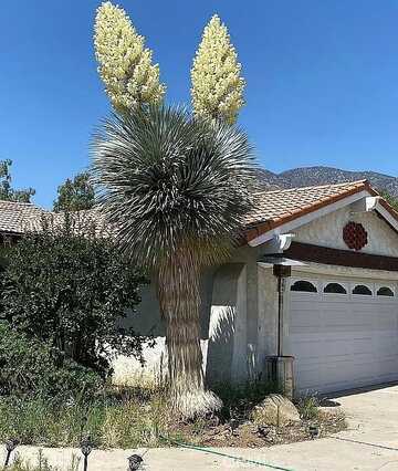 32272 Florida Avenue, Mentone, CA 92359
