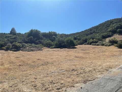 0 Noblett Drive VIC Elderberr, Lake Hughes, CA 93532