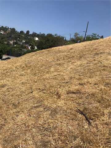 0 THORPE Avenue, Los Angeles, CA 90065