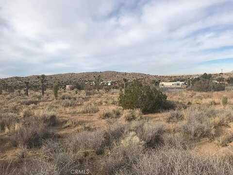 0 Fort Tejon Road, Pearblossom, CA 93553