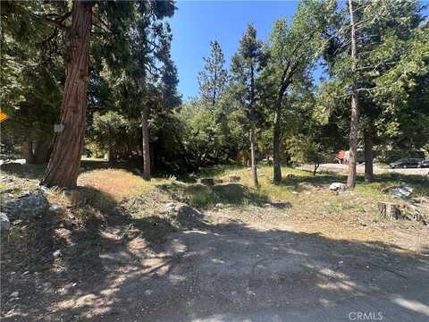 0 Valley Of The Falls Drive, Forest Falls, CA 92339
